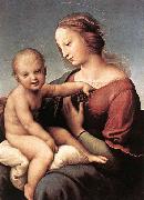 RAFFAELLO Sanzio Madonna and Child painting